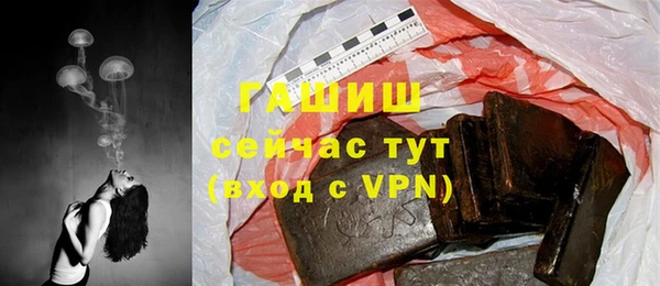 стафф Арсеньев